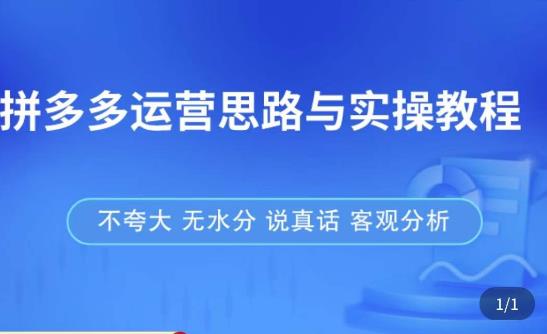 拼多多店铺运营思路与实操教程，快速学会拼多多开店和运营，少踩坑，多盈利-学习资源社