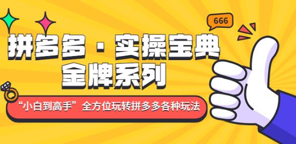 拼多多·实操宝典：金牌系列“小白到高手”带你全方位玩转拼多多各种玩法-学习资源社