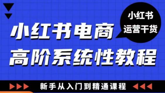 小红书电商高阶系统教程，新手从入门到精通系统课-学习资源社