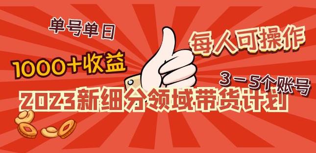 2023新细分领域带货计划：单号单日1000+收益不难，每人可操作3-5个账号-学习资源社