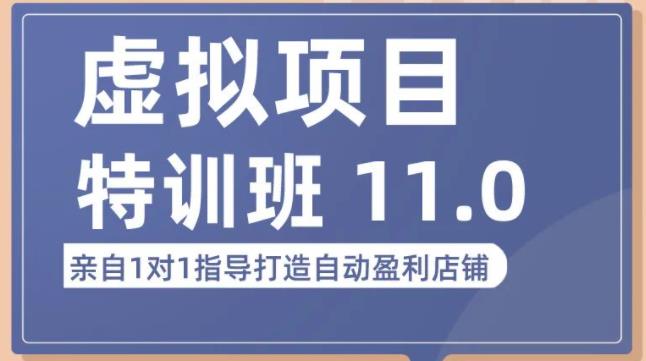 陆明明·虚拟项目特训班（10.0+11.0），0成本获取虚拟素材，0基础打造自动盈利店铺-学习资源社