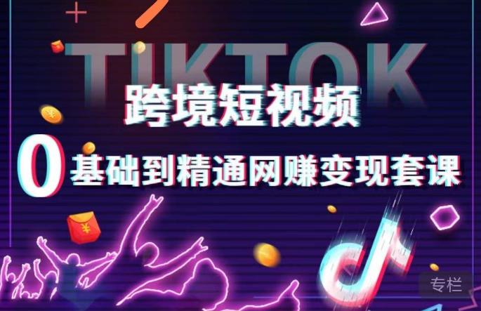 跨境短视频TIKTOK 0基础到精通网赚变现套课，跨境短视频独立站带货变现技巧-学习资源社