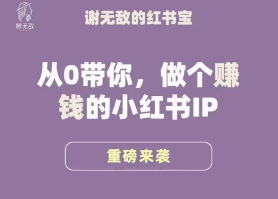 谢无敌·小红书运营大宝典，从0带你做个赚钱的小红书IP-学习资源社