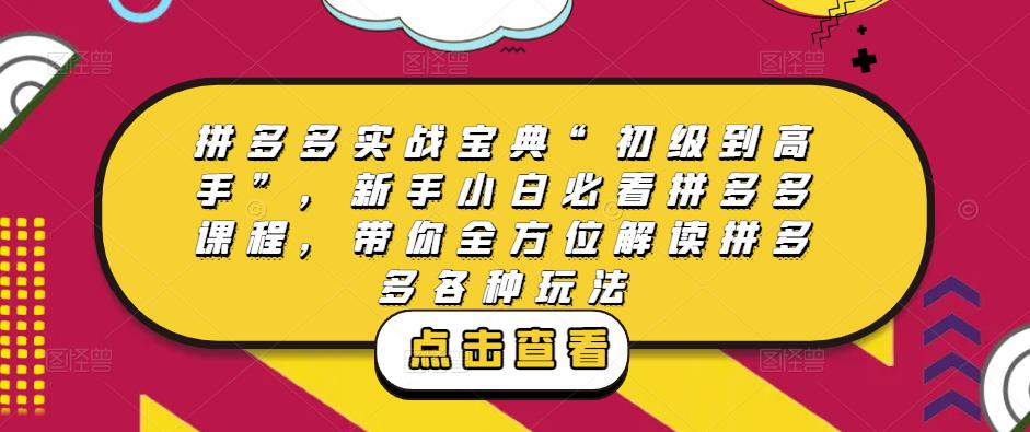 拼多多实战宝典“初级到高手”，新手小白必看拼多多课程，带你全方位解读拼多多各种玩法-学习资源社