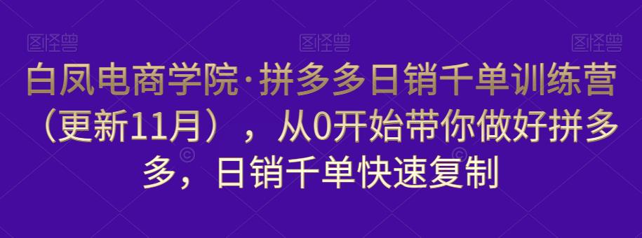 白凤电商学院·拼多多日销千单训练营，从0开始带你做好拼多多，日销千单快速复制（更新知2023年3月）-学习资源社