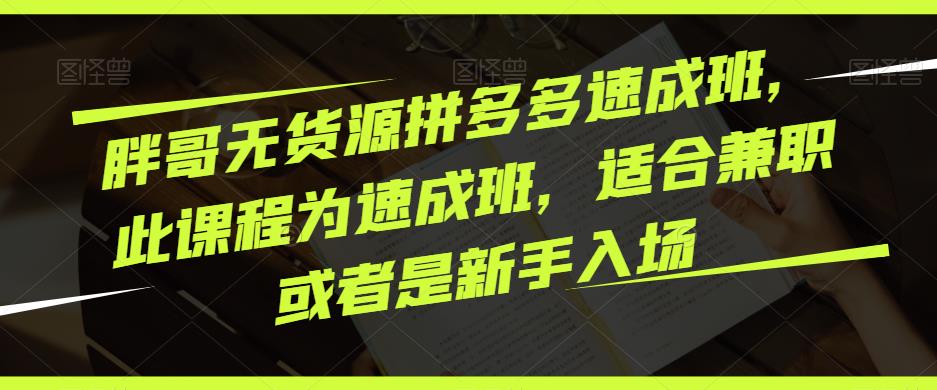 胖哥无货源拼多多速成班，此课程为速成班，适合兼职或者是新手入场-学习资源社