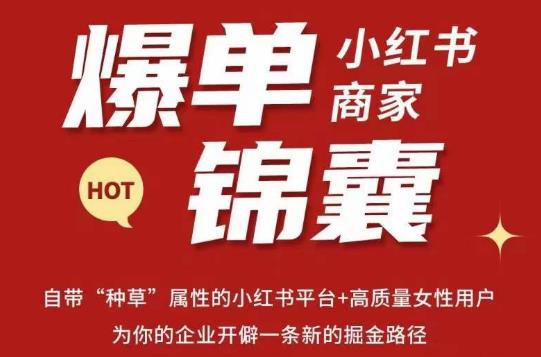 无畏·小红书商家爆单锦囊，掌握小红书各大规则，快速精准抢占行业和市场-学习资源社