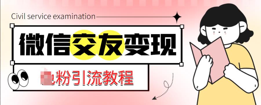 微信交友变现项目，吸引全网LSP男粉精准变现，小白也能轻松上手，日入500+-学习资源社