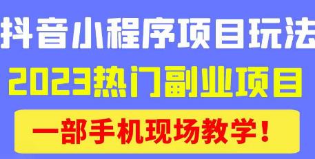 抖音小程序9.0新技巧，2023热门副业项目，动动手指轻松变现-学习资源社