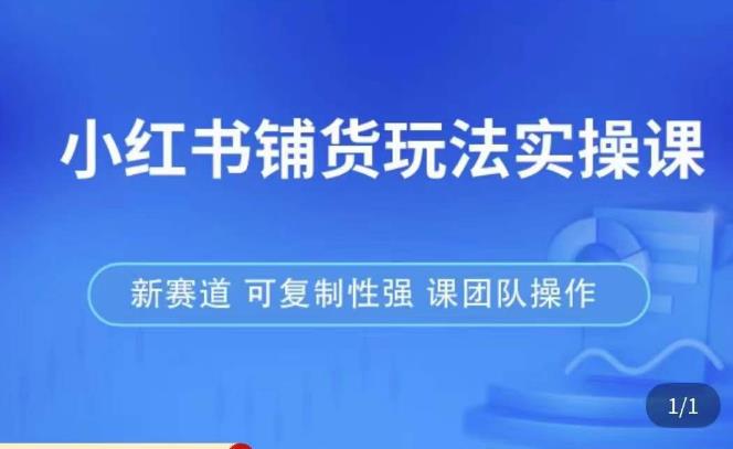 小红书铺货玩法实操课，流量大，竞争小，非常好做，新赛道，可复制性强，可团队操作-学习资源社