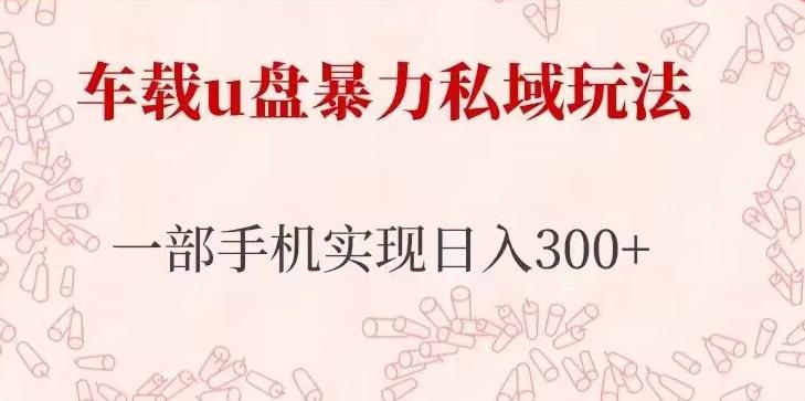 车载u盘暴力私域玩法，长期项目，仅需一部手机实现日入300+-学习资源社