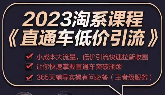 2023直通车低价引流玩法课程，小成本大流量，低价引流快速拉新收割，让你快速掌握直通车突破瓶颈-学习资源社