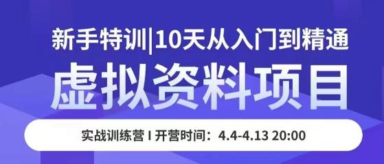 虚拟资料项目新手特训，10天从入门到精通，保姆级实操教学-学习资源社