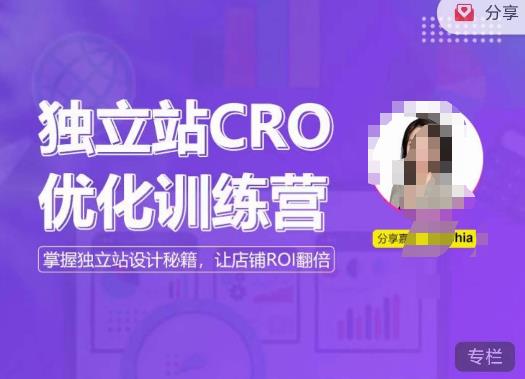 独立站CRO优化训练营，掌握独立站设计秘籍，打造高转化的独立站，让店铺ROI翻倍-学习资源社