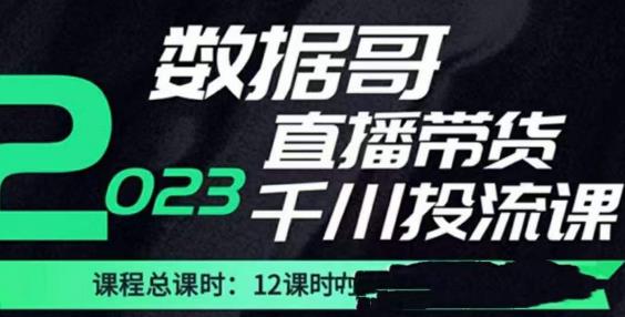 数据哥2023直播电商巨量千川付费投流实操课，快速掌握直播带货运营投放策略-学习资源社