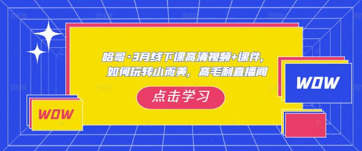 哈哥·3月线下实操课高清视频+课件，如何玩转小而美，高毛利直播间-学习资源社