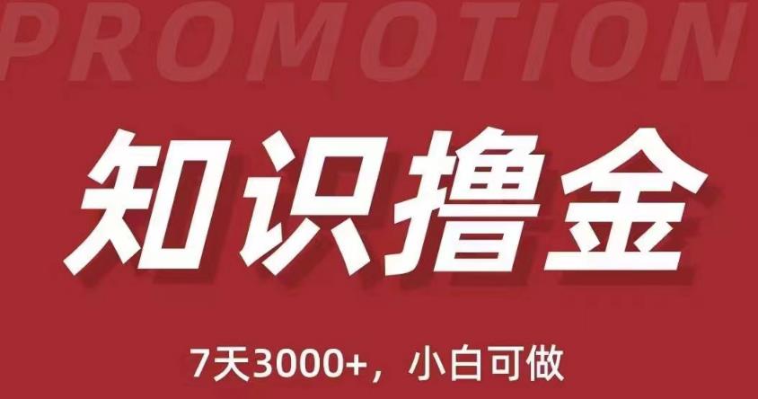 抖音知识撸金项目：简单粗暴日入1000+执行力强当天见收益(教程+资料)-学习资源社