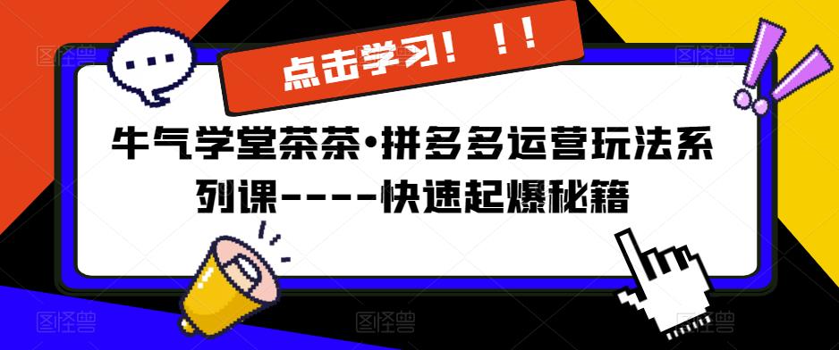 牛气学堂茶茶•拼多多运营玩法系列课—-快速起爆秘籍【更新】-学习资源社