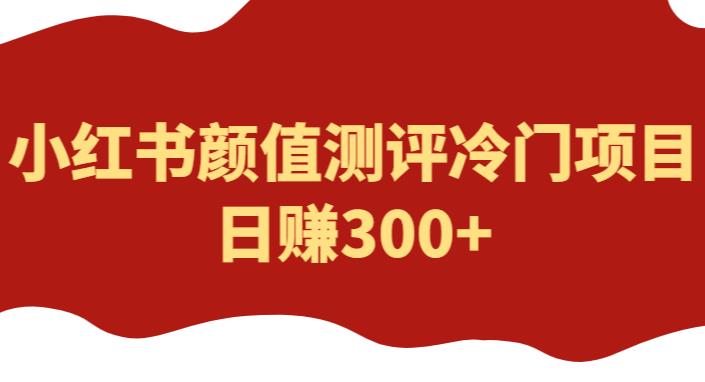 外面1980的项目，小红书颜值测评冷门项目，日赚300+【揭秘】-学习资源社