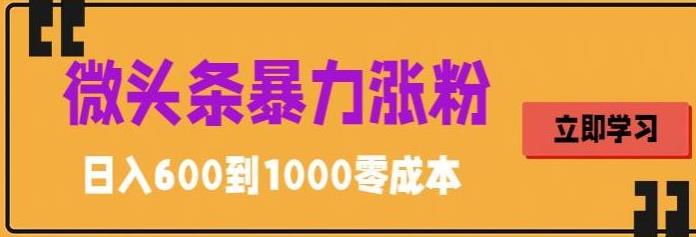 微头条暴力涨粉技巧搬运文案就能涨几万粉丝，简单0成本，日赚600【揭秘】-学习资源社