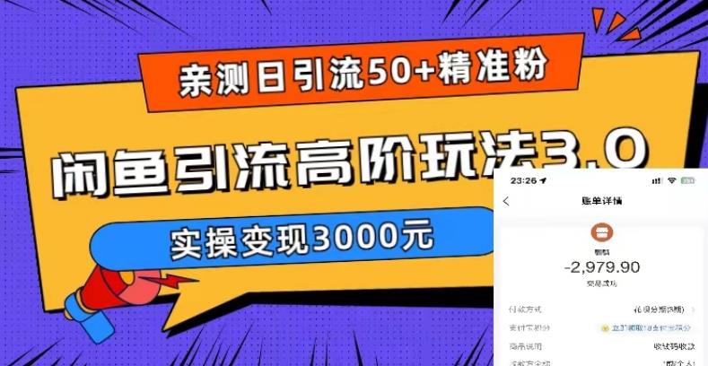 亲测日引50+精准粉，闲鱼引流高阶玩法3.0，实操变现3000元【揭秘】-学习资源社