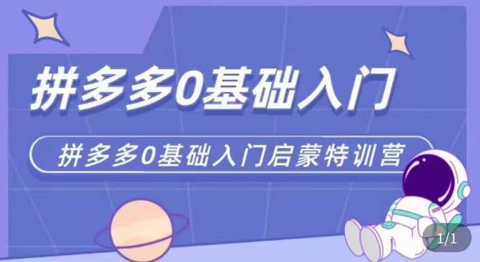 拼多多运营0-1实操特训营，拼多多0基础入门，从基础到进阶的可实操玩法-学习资源社