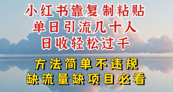 小红书靠复制粘贴单日引流几十人目收轻松过千，方法简单不违规【揭秘】-学习资源社