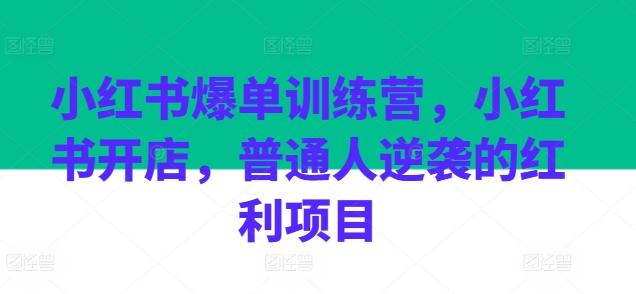 小红书爆单训练营，小红书开店，普通人逆袭的红利项目-学习资源社