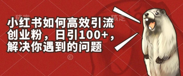 小红书如何高效引流创业粉，日引100+，解决你遇到的问题【揭秘】-学习资源社