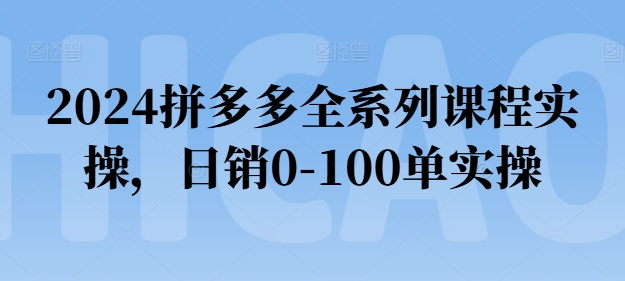 2024拼多多全系列课程实操，日销0-100单实操【必看】-学习资源社