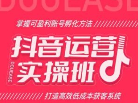 抖音运营实操班，掌握可盈利账号孵化方法，打造高效低成本获客系统-学习资源社