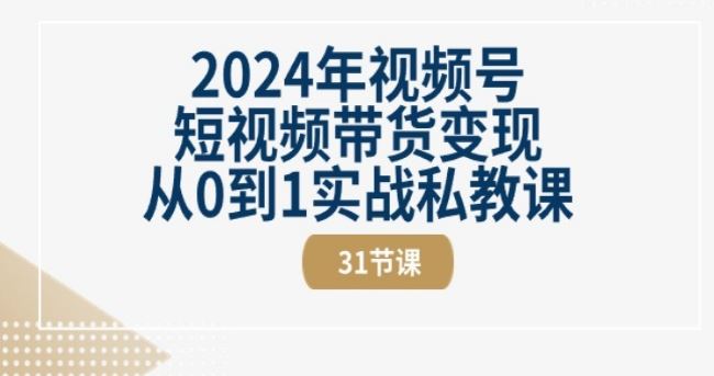 视频号短视频带货变现怎么操作赚钱?从0到1实战私教课(30节视频课)