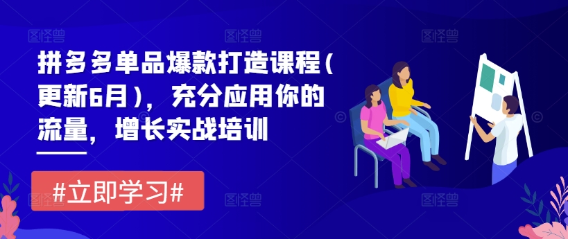 拼多多单品爆款打造课程(更新6月)，充分应用你的流量，增长实战培训-学习资源社