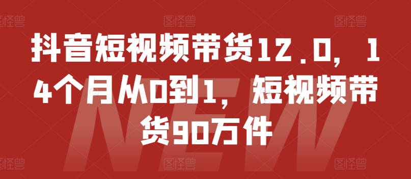 抖音短视频带货12.0，14个月从0到1，短视频带货90万件-学习资源社