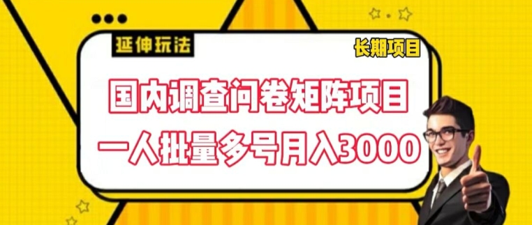 国内调查问卷矩阵项目，一人批量多号月入3000【揭秘】-学习资源社