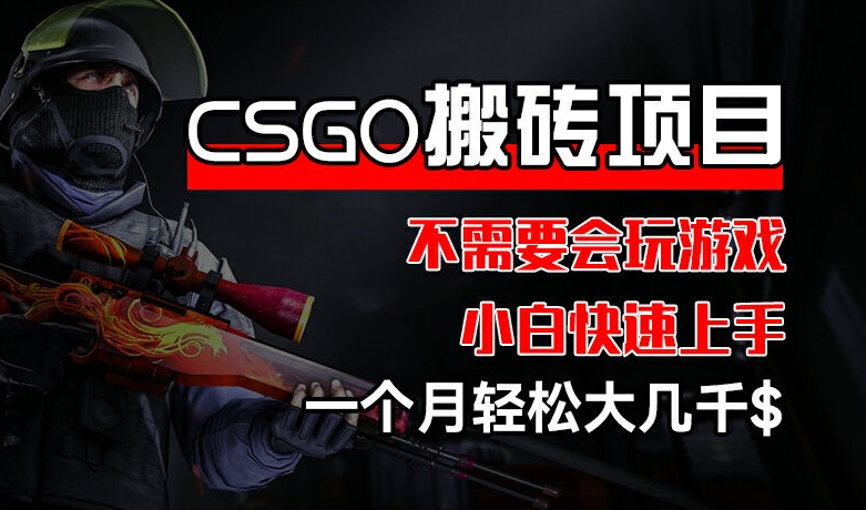 CSGO 装备搬砖项目，操作简单，不需要会玩游戏，小白也能快速上手，一个月轻松大几千【揭秘】-学习资源社