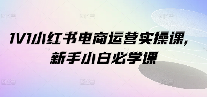 1V1小红书电商运营实操课，新手小白必学课-学习资源社