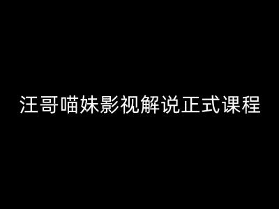 汪哥影视解说正式课程：剪映/PR教学/视解说剪辑5大黄金法则/全流程剪辑7把利器等等-学习资源社