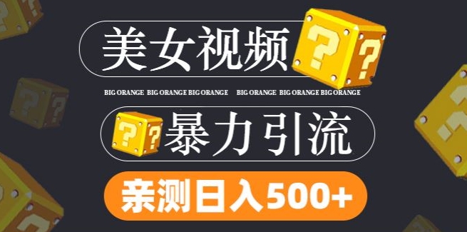 搬运tk美女视频全网分发，日引s粉300+，轻松变现，不限流量不封号【揭秘】-学习资源社