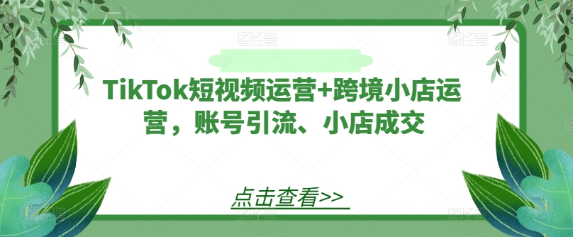 TikTok短视频运营+跨境小店运营，账号引流、小店成交-学习资源社