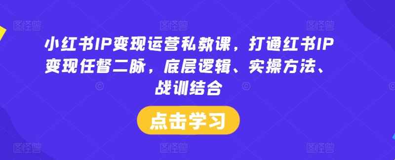 小红书IP变现运营私教课，打通红书IP变现任督二脉，底层逻辑、实操方法、战训结合-学习资源社