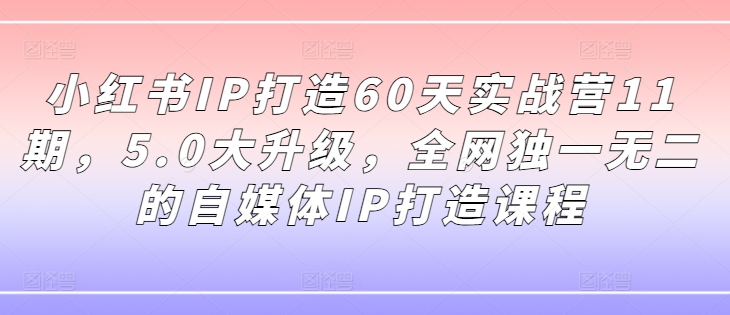 小红书IP打造60天实战营11期，5.0大升级，全网独一无二的自媒体IP打造课程-学习资源社