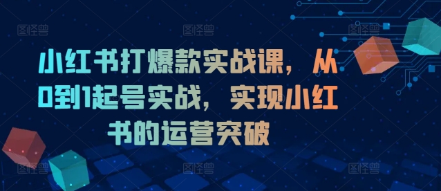 小红书打爆款实战课，从0到1起号实战，实现小红书的运营突破-学习资源社