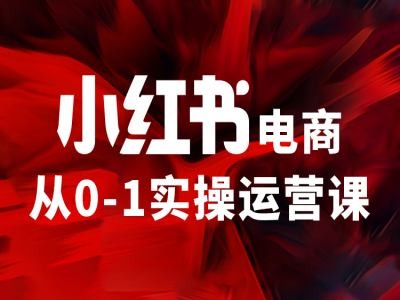 小红书电商从0-1实操运营课，让你从小白到精英-学习资源社