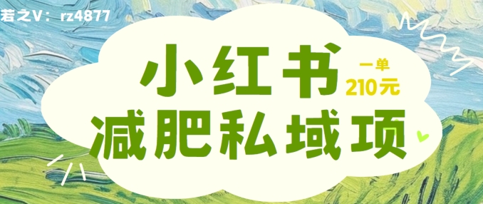 小红书减肥粉，私域变现项目，一单就达210元，小白也能轻松上手【揭秘】-学习资源社