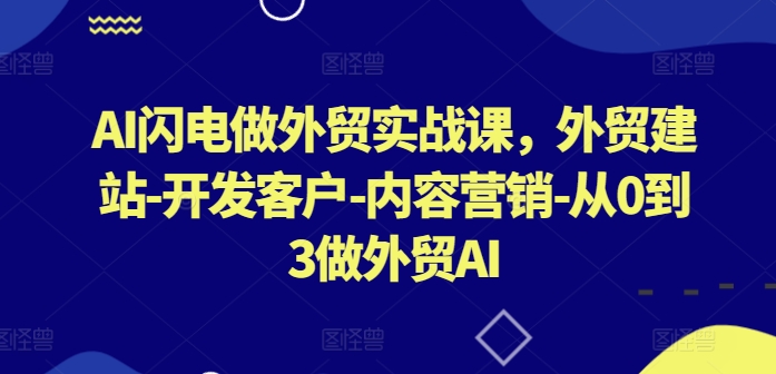 AI闪电做外贸实战课，​外贸建站-开发客户-内容营销-从0到3做外贸AI（更新）-学习资源社