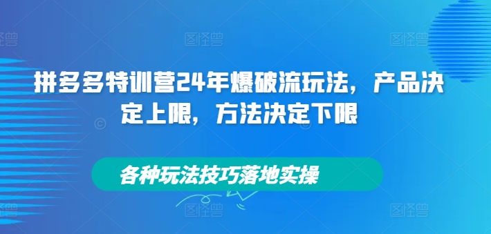 拼多多特训营24年爆破流玩法，产品决定上限，方法决定下限，各种玩法技巧落地实操-学习资源社