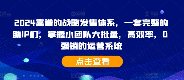 2024靠谱的战略发售体系，一套完整的助IP们，掌握小团队大批量，高效率，0 强销的运营系统-学习资源社