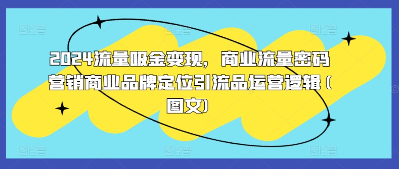 2024流量吸金变现，商业流量密码营销商业品牌定位引流品运营逻辑(图文)-学习资源社