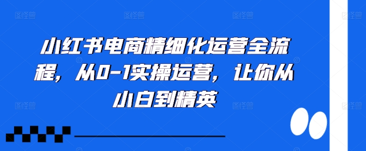 小红书电商精细化运营全流程，从0-1实操运营，让你从小白到精英-学习资源社